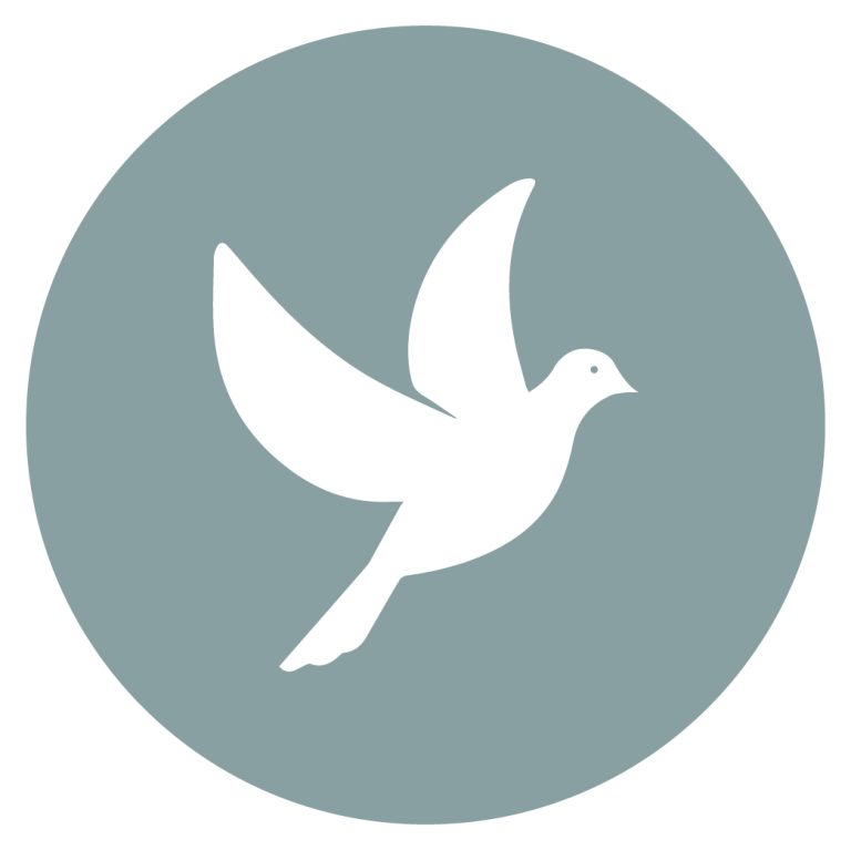 Financial Partner icon graphic of white dove